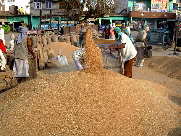 Farmers and traders at an Indian mandi